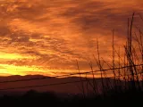 ciel37a.webp