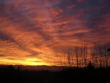 ciel39a.webp
