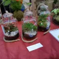 20220410_095937.webp