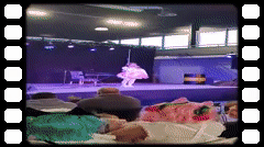 mp4 file