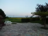 P1250107.webp