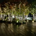 20191122_195111.webp