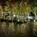 20191122_195118.webp