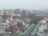 20191124_095556.webp