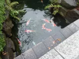 20191124_105253.webp