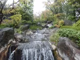 20191124_105352.webp