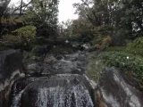 20191124_105458.webp