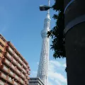 20191125_115627.webp