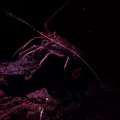 20191126_124841.webp