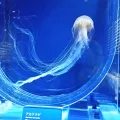20191126_124938.webp