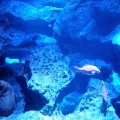 20191126_125113.webp