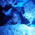20191126_125147.webp