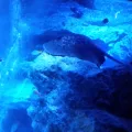 20191126_125223.webp