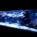 20191126_125340.webp