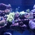 20191126_125405.webp