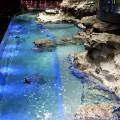 20191126_125505.webp