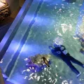 20191126_125519.webp