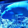 20191126_125707.webp