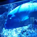 20191126_125708.webp