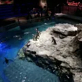 20191126_125937.webp