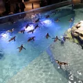 20191126_125948.webp