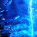 20191126_130449.webp