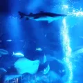 20191126_130456.webp