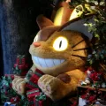 20191126_135038.webp