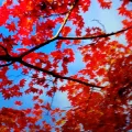 20191126_183543.webp