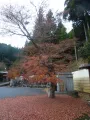 20191127_122117.webp