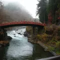 20191127_124451.webp