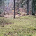 20191127_130619.webp