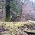 20191127_130829.webp