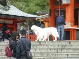 20191128_151835.webp