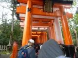 20191128_152617.webp