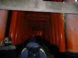 20191128_152903.webp