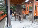 20191128_153757.webp