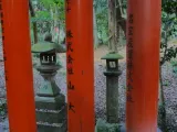 20191128_154335.webp