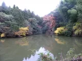 20191128_161212.webp