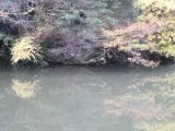 20191128_161245.webp