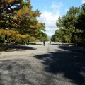 20191129_104643.webp