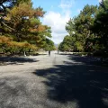 20191129_104645.webp