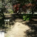 20191129_104842.webp