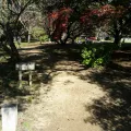 20191129_104843.webp