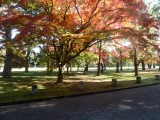 20191129_110514.webp