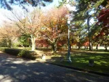 20191129_110523.webp