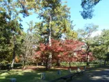 20191129_111230.webp