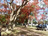 20191129_130908.webp