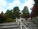20191129_143148.webp