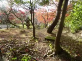 20191129_145118.webp